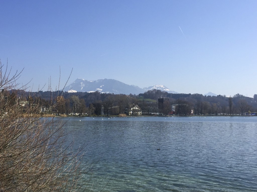 Water and Mountains Luzern
