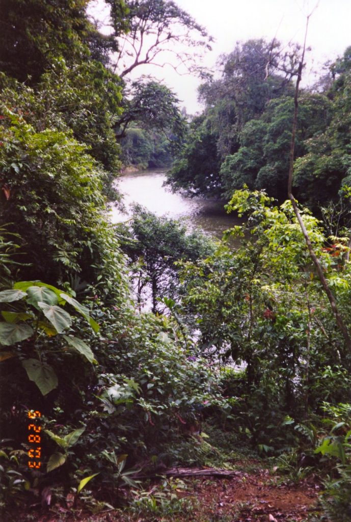 Costa Rica River