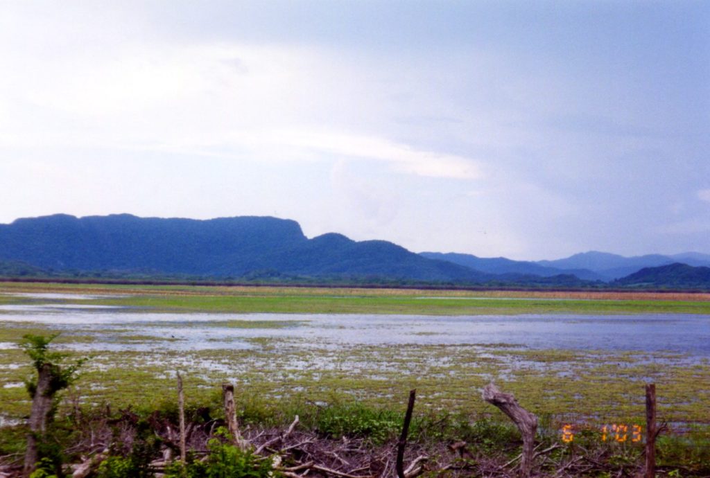 Swampy area in Pale Verde Costa Rica with mountains