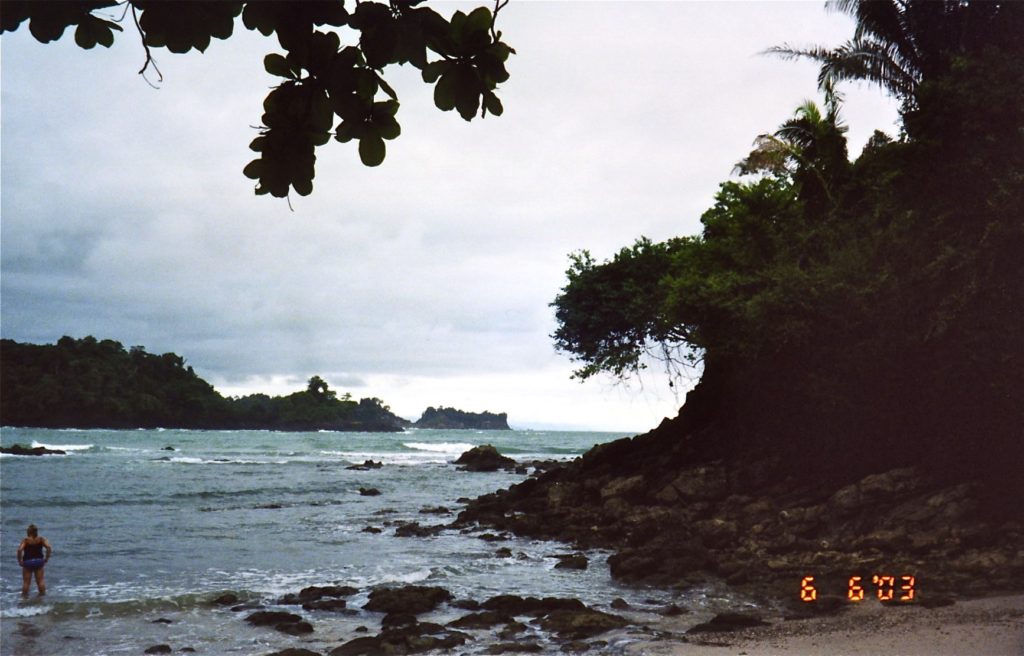 Beach rainforest - Manuel Antonio (2)