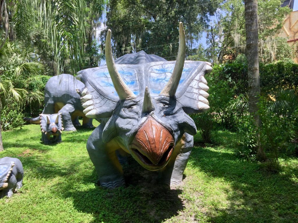 Horned Dinosaur