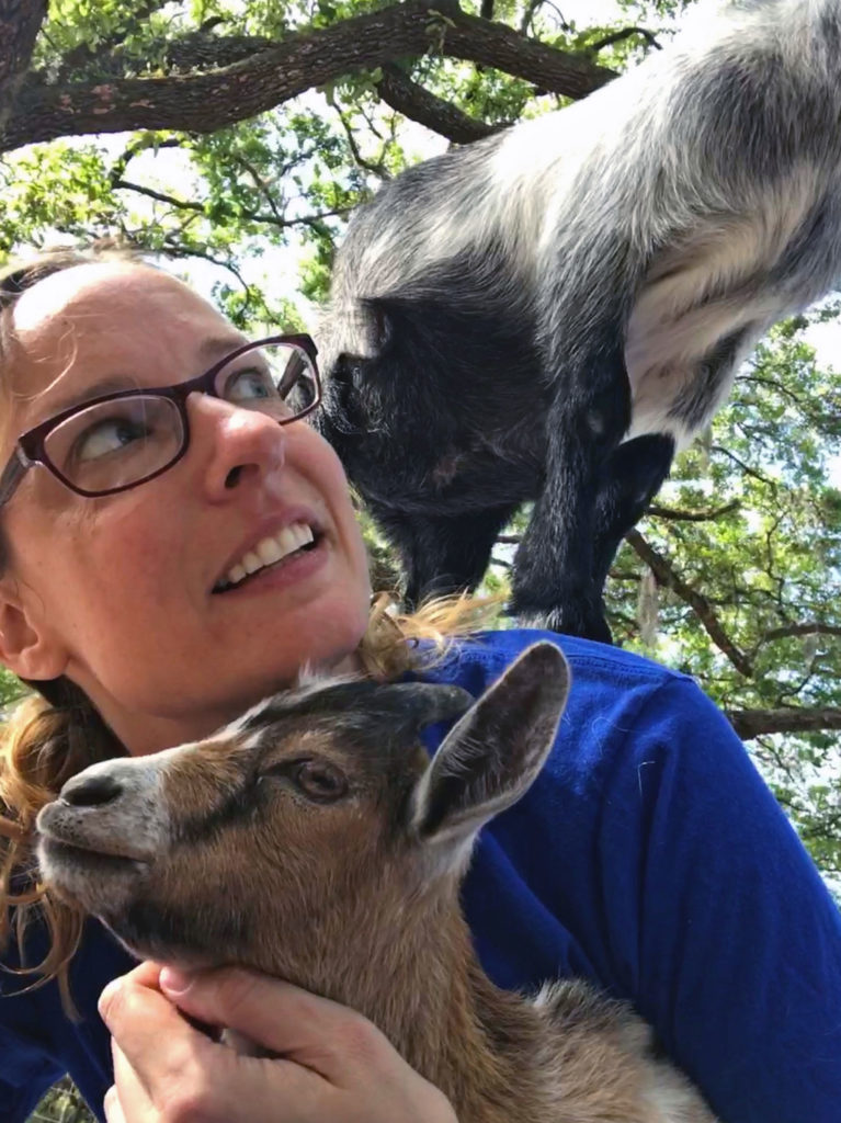 Goat jumps on my back during selfie
