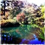 Artistically done colorful picture of trees and lake