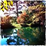 Artistically done photo of colorful trees and lake