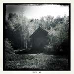 Artistically done black and white building in woods