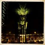 Dark picture with palm tree and lights artistically done