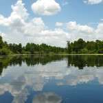 River in Florida with reflection of clouds and trees in water