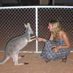 Playing with a kangaroo