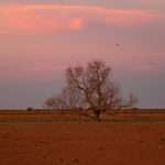 Outback twilight scenery