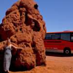 Giant termite mound