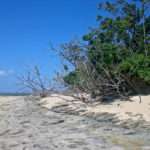 Island Beach Cairns