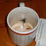 Spider Coffee Mug