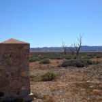 Dead Trees in Outback