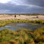 Desert Oasis of Australia