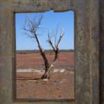 Window Framed Tree