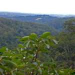 Nimbin Australia