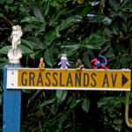 Grasslands Ave in Hippy Heaven