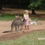 Girl petting kangaroo