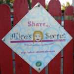 Alice's Secret Sign