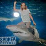 Jumping the Shark in Sydney