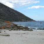 Beach of Wineglass Bay