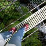 Thin bridge over the Tasmanian Rain Forest