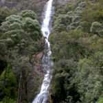 Waterfall in Tasmania