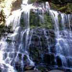 Waterfalls of Tasmania